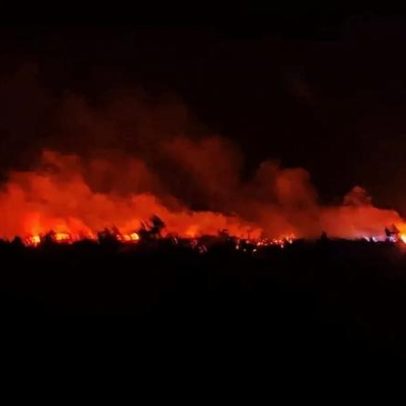 Incêndio em área de mato na Mina de São Domingos