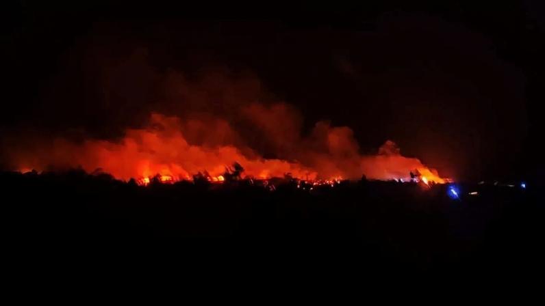 Incêndio em área de mato na Mina de São Domingos
