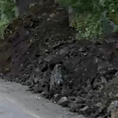 Seis turistas feridos num deslizamento de terras na Madeira