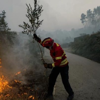 Portugal não conclui reforma da gestão dos fogos após tragédia de 2017