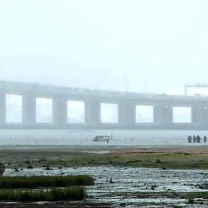 Negócio de amêijoa ilegal no Tejo contorna lei e coloca saúde pública em risco