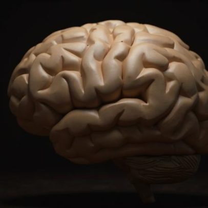 Anthropic lança IA para defender contra ataques biológicos e químicos