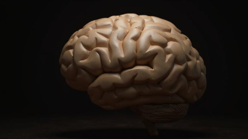 Anthropic lança IA para defender contra ataques biológicos e químicos