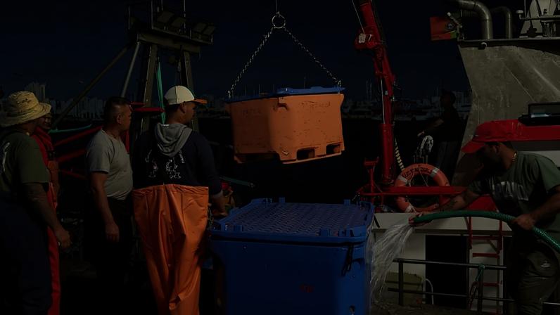 Porto de Pesca do Arade, em Portimão, tem recebido muitas toneladas de sardinha este ano.