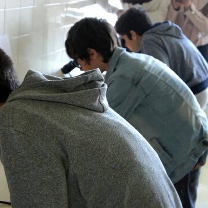 Portugal na linha da literacia do oceano, precisa passar da teoria à ação