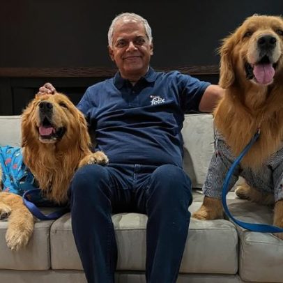 Nestlé Índia nomeia dois Golden Retrievers como Chief Happiness Officers