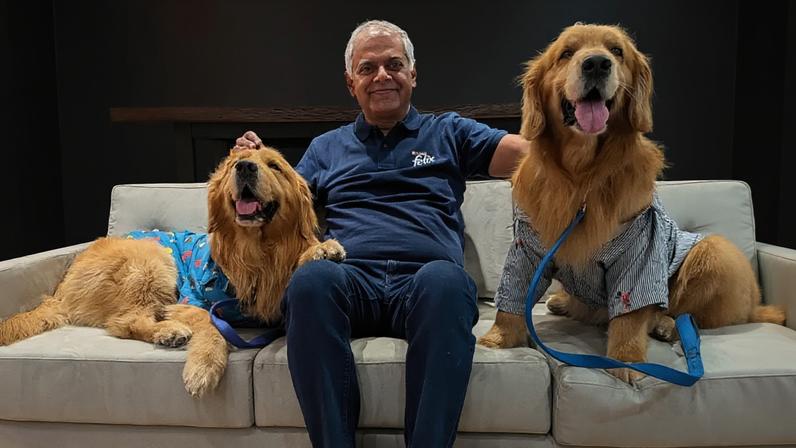 Nestlé Índia nomeia dois Golden Retrievers como Chief Happiness Officers