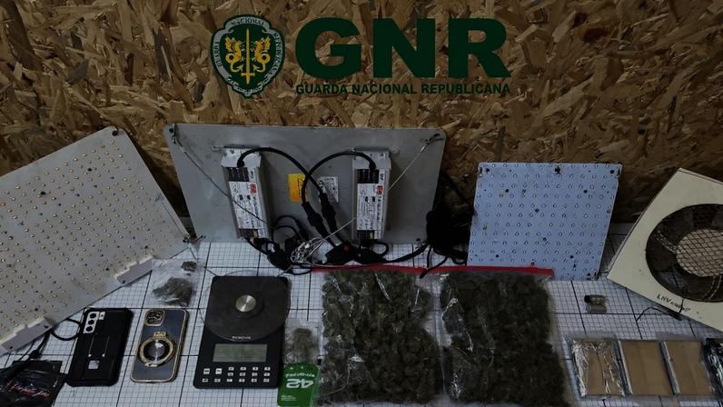 GNR detém traficante com 80 doses de canábis em Penafiel