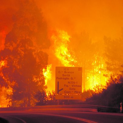 Pedrógão: lições para evitar repetição da tragédia dos incêndios de 2017