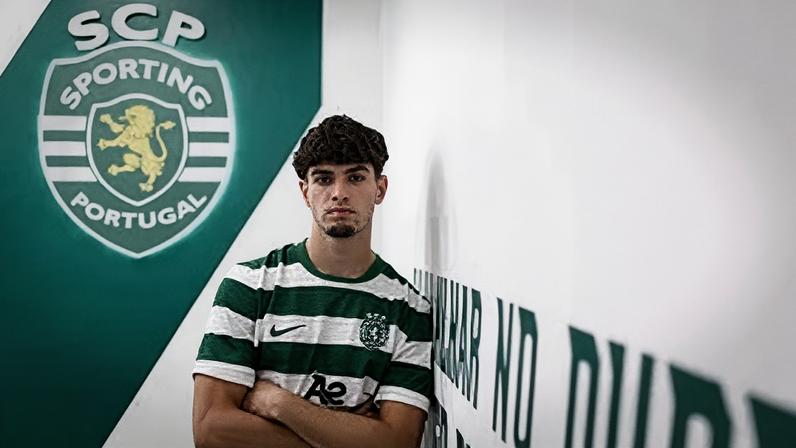 Martim Ribeiro de leão ao peito
