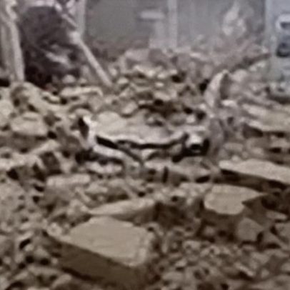 FC Porto envia mensagem de solidariedade às vítimas do sismo na Venezuela