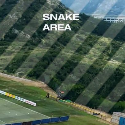 Suíça treina em San Diego, rodeada de cobras