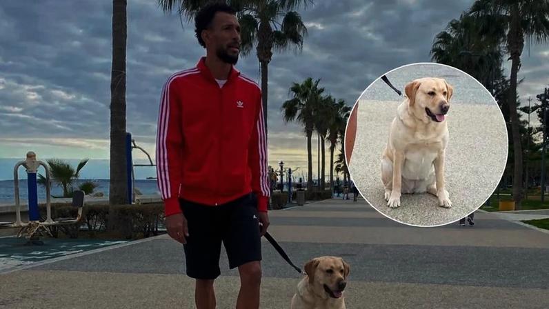 Vozinha tem grande amor por cão: é como se fosse uma filha
