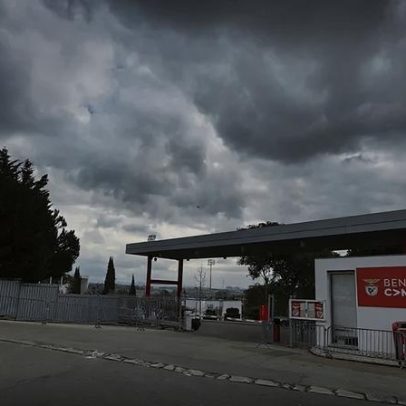 Benfica Campus começa em julho: datas de arranque já definidas