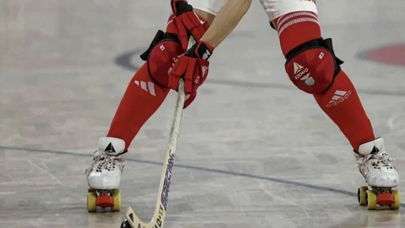 Final de hóquei feminino entre Gulpilhares e Benfica interrompida por agressões