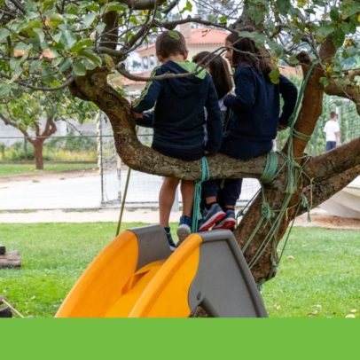 Nova estratégia de educação ambiental visa mudança social até 2030
