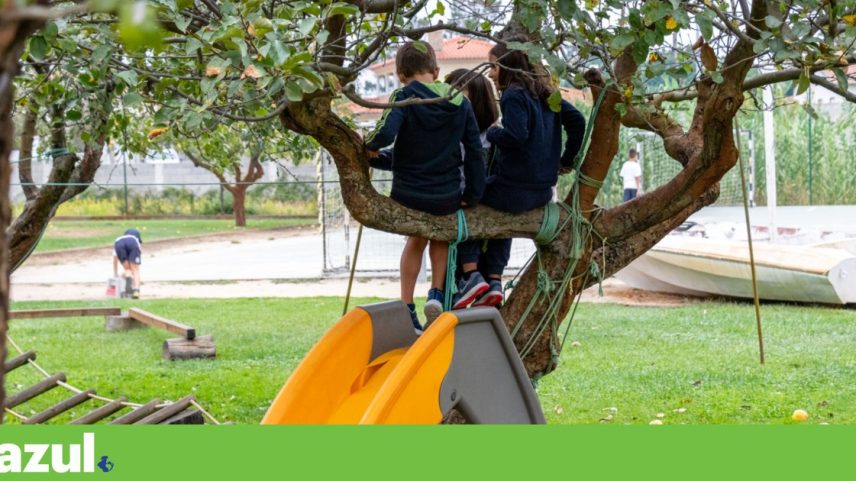 Nova estratégia de educação ambiental visa mudança social até 2030