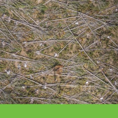 Governo vê balanço positivo sobre fogos, mas não há dados sobre área limpa.