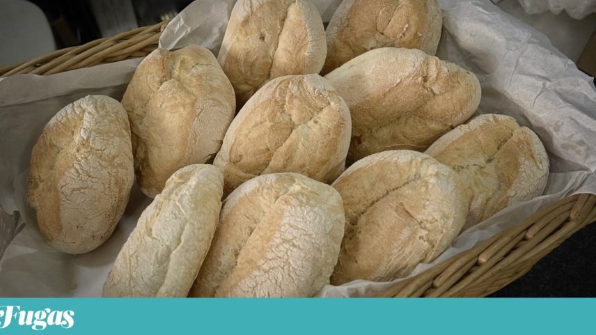 Sandes desconstruídas de 2026 são consideradas antiquadas