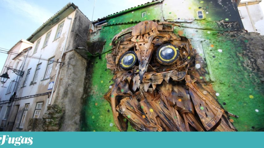 Owl Eyes de Bordalo II é uma das peças do Wool