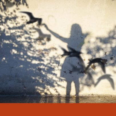 Somos a voz das crónicas diárias de Cláudia Lucas Chéu