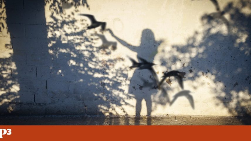 Somos a voz das crónicas diárias de Cláudia Lucas Chéu