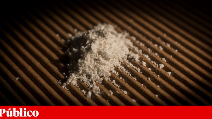 PJ detém duas mulheres e um homem em Lisboa com 47 quilos de cocaína