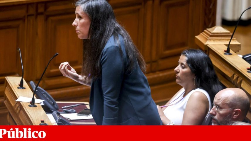 Isabel Mendes Lopes, líder parlamentar do Livre