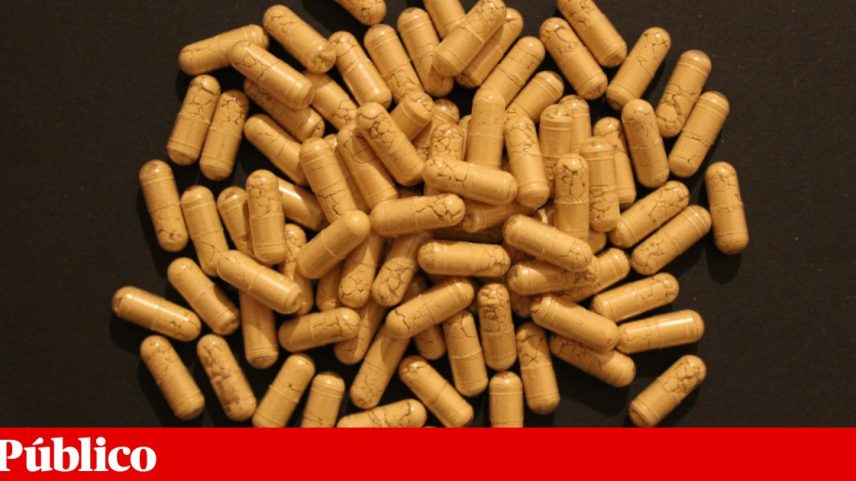 Metade da Europa tem bases de dados públicas de suplementos; Portugal fica atrás