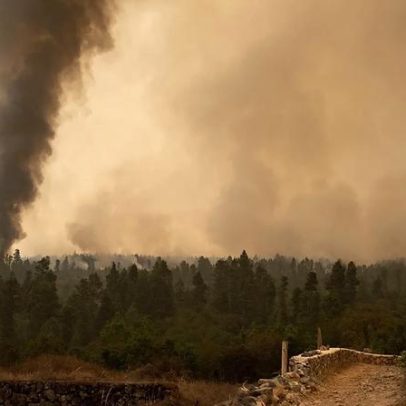 Espanha revela números dos incêndios florestais em 2026