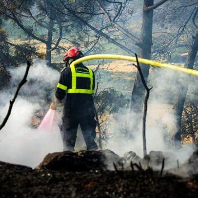 Governo francês alerta: época de incêndios chegou um mês antes do previsto