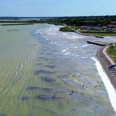 Onda de calor seca lagos e reduz o abastecimento de água na Hungria