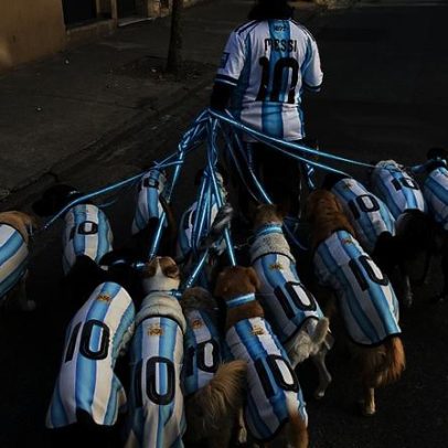 Cães com camisolas da seleção argentina animam Buenos Aires na onda do Mundial