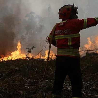 Portugal mobiliza mais de mil operacionais para combate a incêndios no terreno