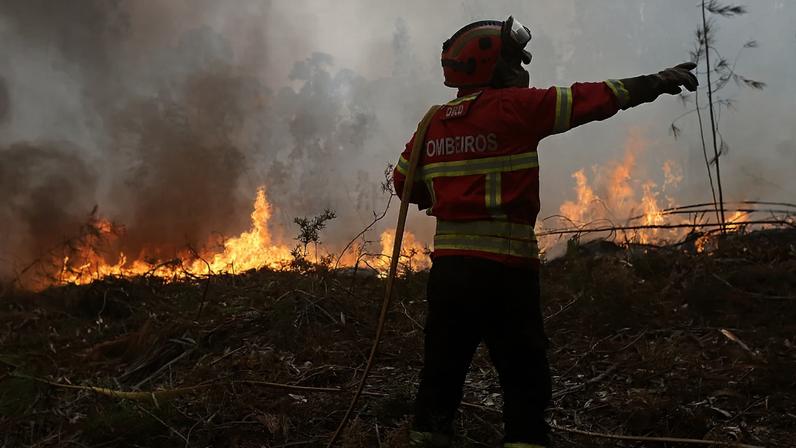 Portugal: mais de mil operacionais combatem incêndios no terreno