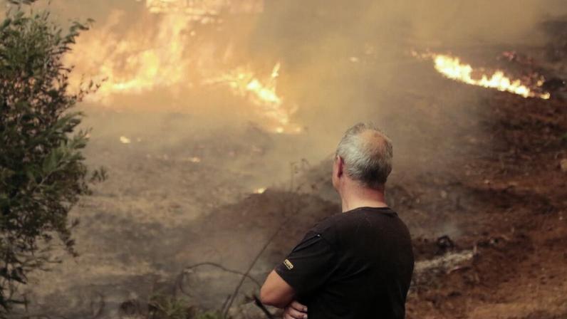 Incêndio no Concelho de Águeda