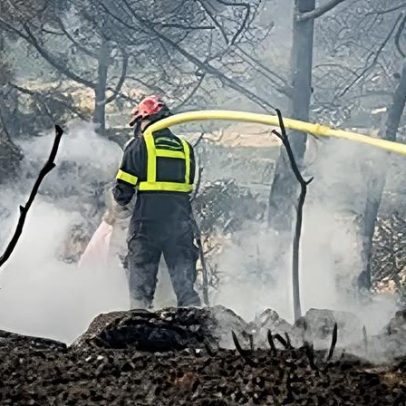 Incêndios: autoridades monitorizam áreas afetadas e medidas de prevenção