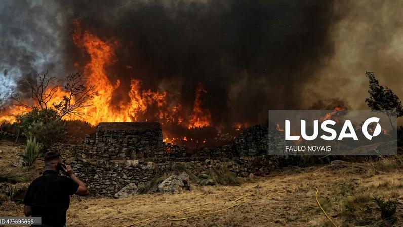 Incêndio de Vouzela passou para Águeda e atingiu anexos e casas devolutas - autarca
