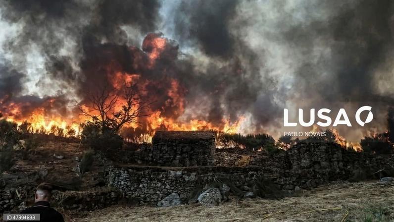 Incêndio em Vouzela tem duas frentes ativas a arder com bastante intensidade