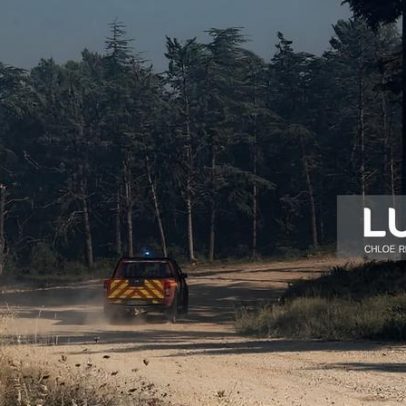 Incêndios florestais intensos em França obrigam a evacuar milhares de pessoas