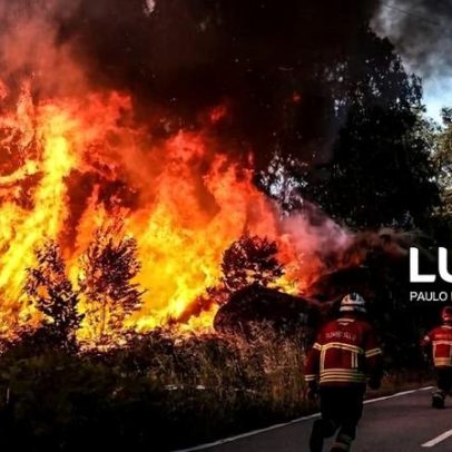 Gestão de incêndios no Território exige especialização e atuação local, afirma diretora-geral