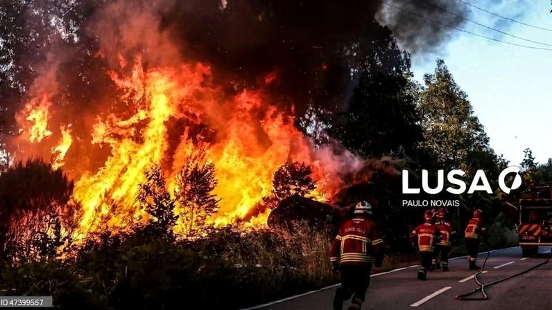 Diretora-geral do Território diz que gestão de incêndios se faz com especialização e nos locais