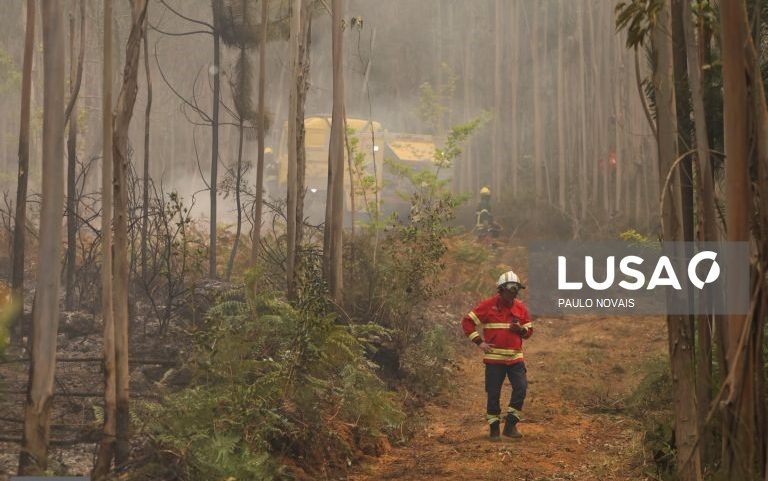 Mais de 1.400 operacionais no combate a seis principais fogos