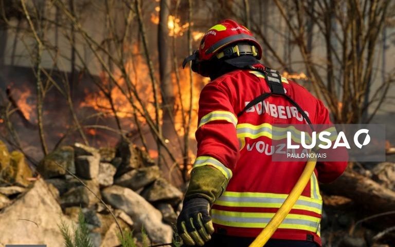 Mais de 1.200 operacionais combatem fogos ativos em Vouzela e Mangualde