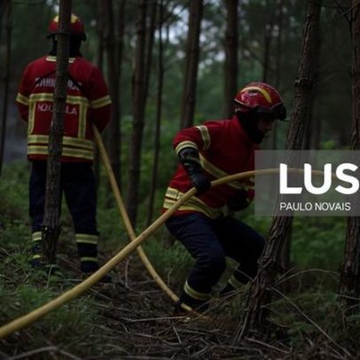 Incêndio em Mangualde está dominado e em arrefecimento
