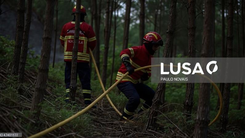 Incêndio em Mangualde está dominado