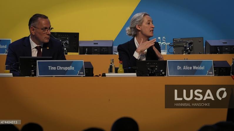 Liderança do partido de extrema-direita alemão AfD reeleita antes de eleições regionais