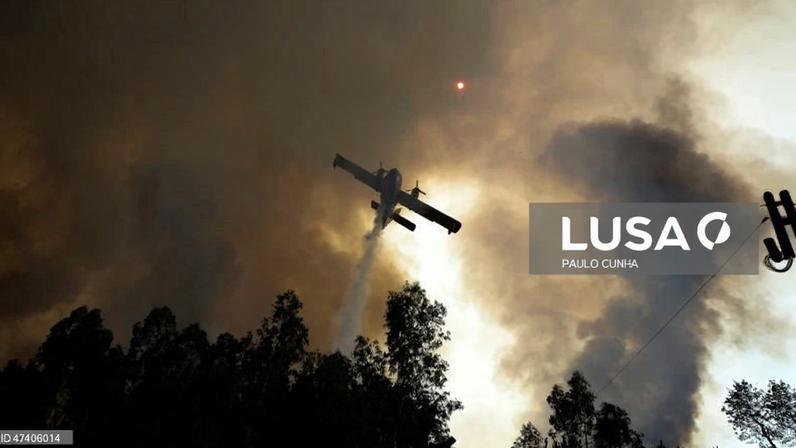 Incêndio em área florestal de Santo Tirso mobiliza mais de 100 operacionais