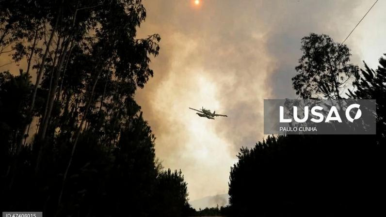 Incêndio em Vouzela dominado, persiste risco de reacendimentos