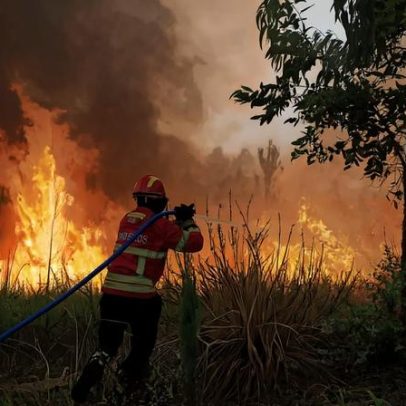 Segredo do cofre gigante do país revela detalhes